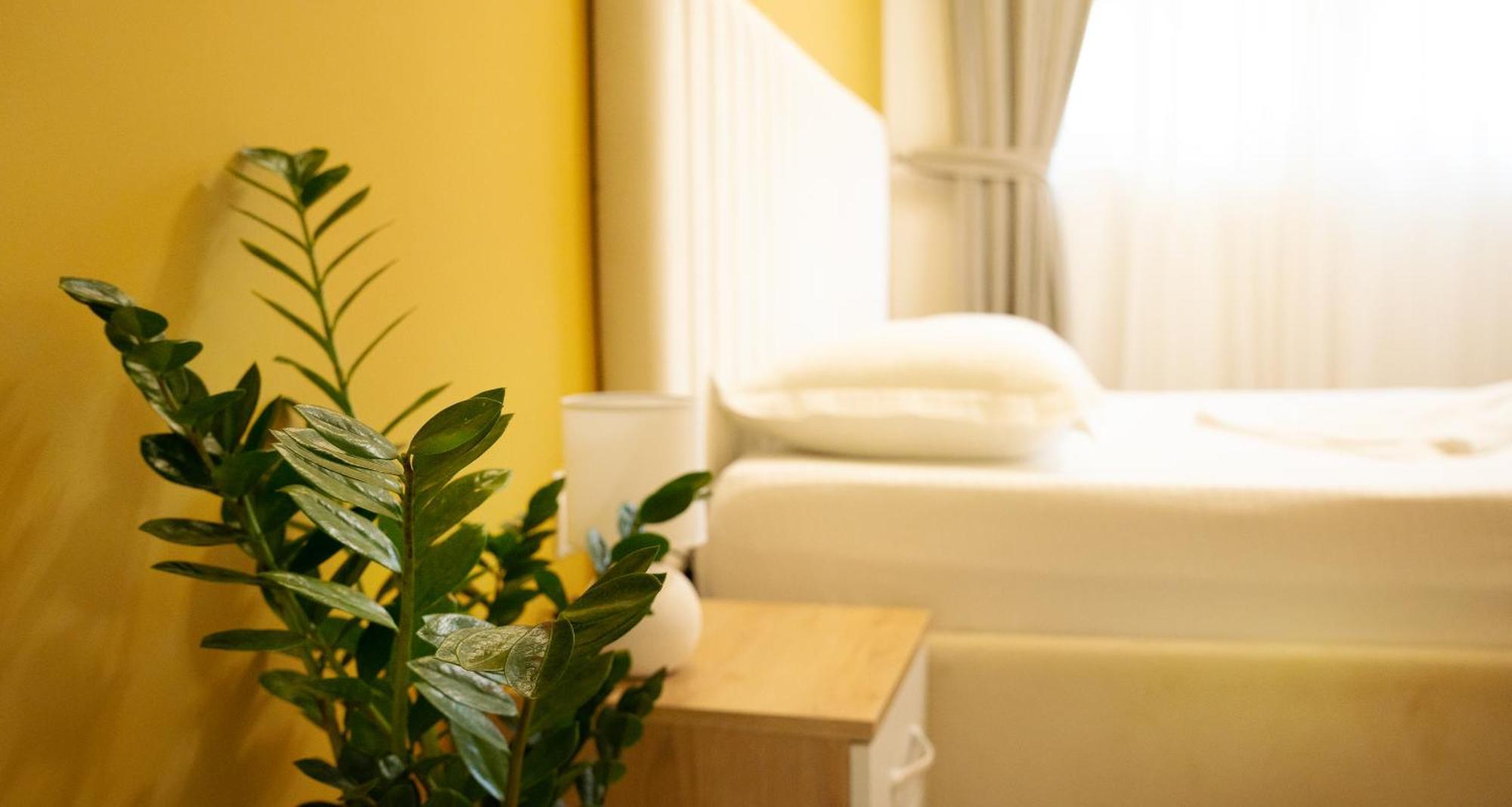 Hotel Luris Golem  Dış mekan fotoğraf